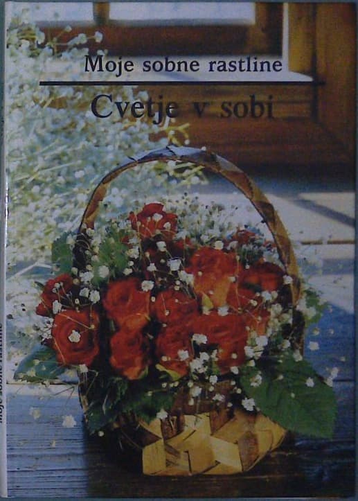 Moje sobne rastline / Cvetje v sobi