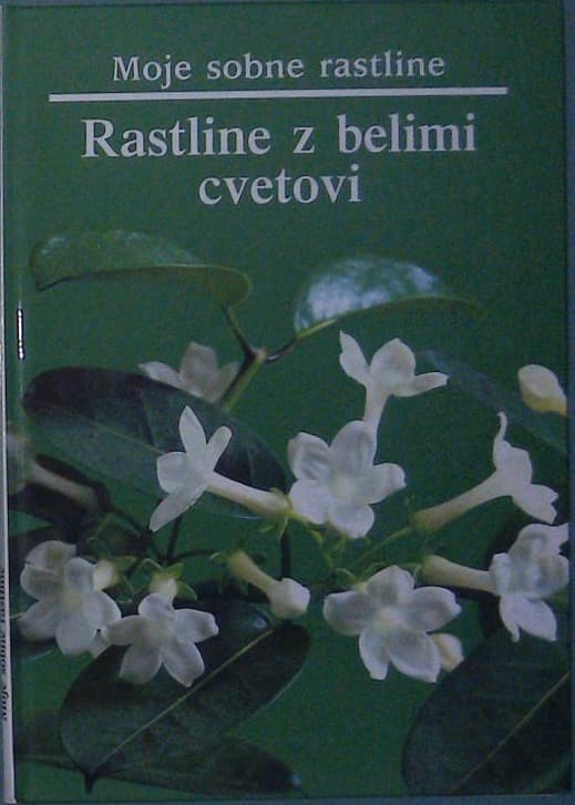 Moje sobne rastline / Rastline z belimi cvetovi
