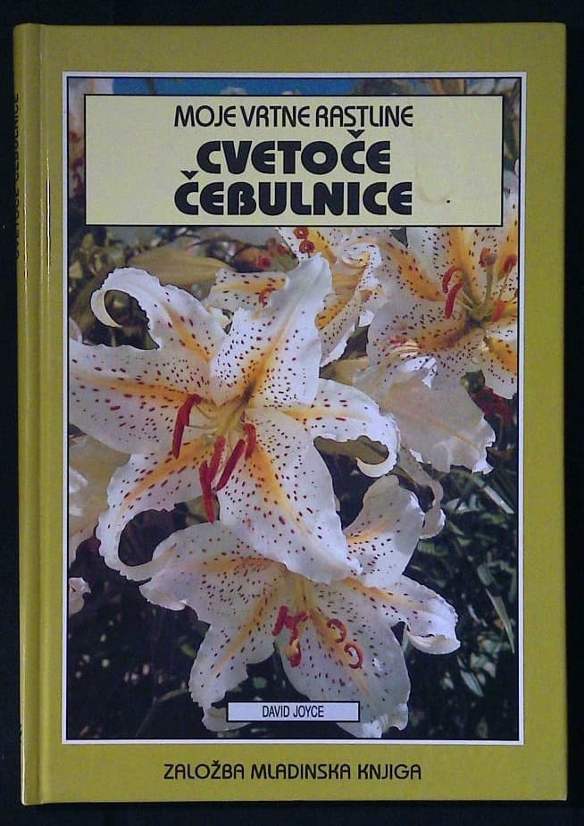Cvetoče čebulnice