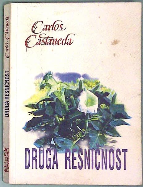 Druga resničnost