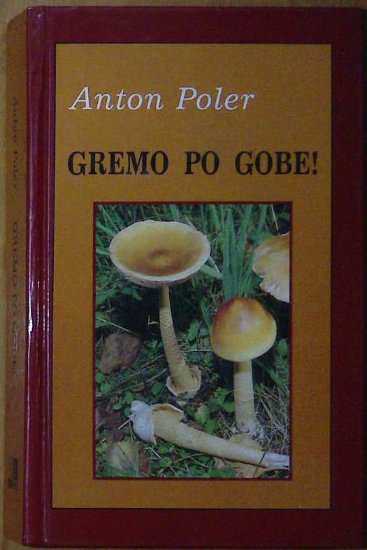 Gremo po gobe