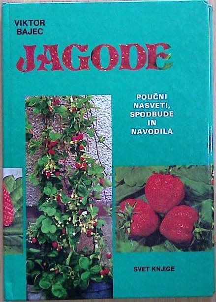 Jagode