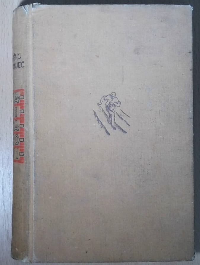Kapitanovi : roman