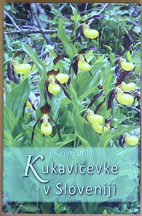 Kukavičevke v Sloveniji