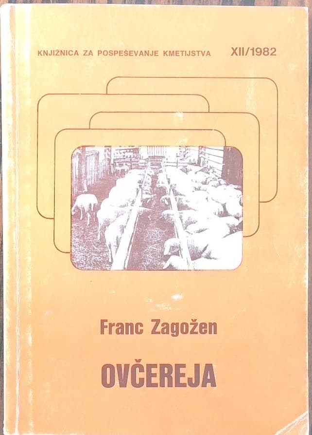 Ovčereja