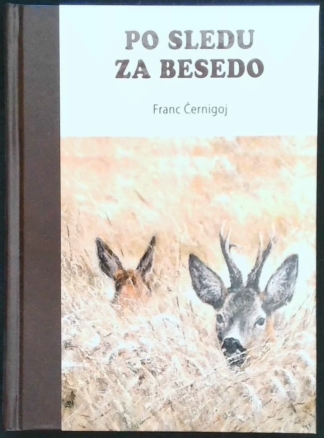 Po sledu za besedo