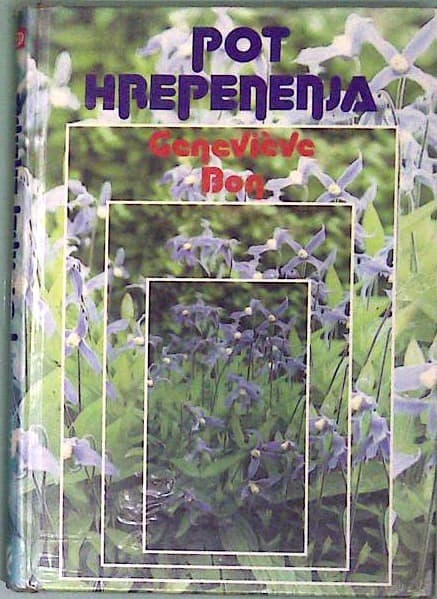 Pot hrepenenja