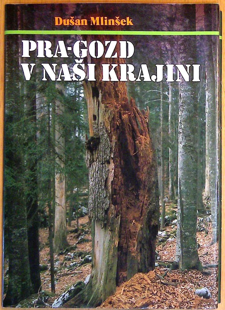 Pra-gozd v naši krajini
