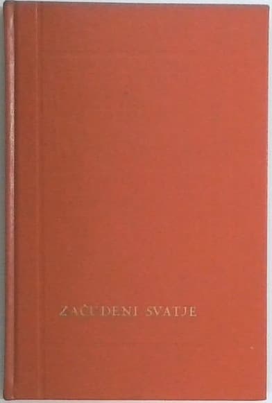 Začudeni svatje