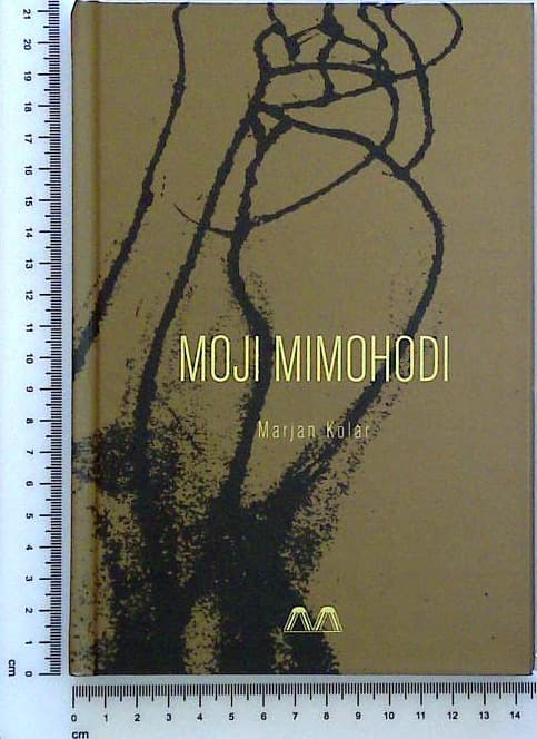 Moji mimohodi