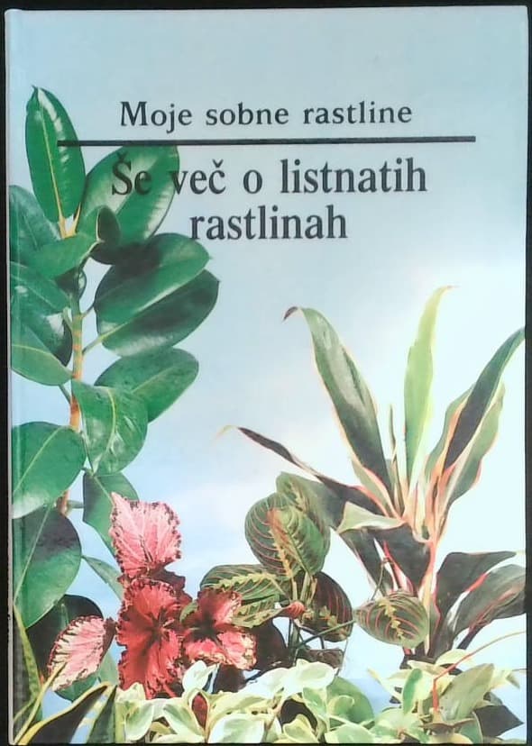 Moje sobne rastline / Še več o listnatih rastlinah