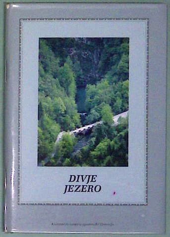 Divje jezero