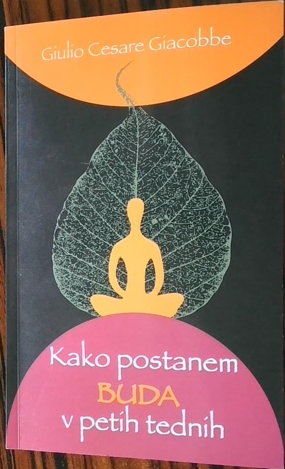 Kako postanem buda v petih tednih